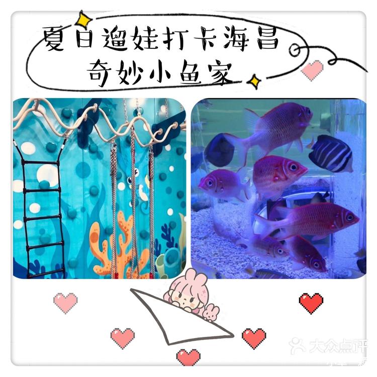奇妙小家下载赚钱-(奇妙小家下载赚钱app)