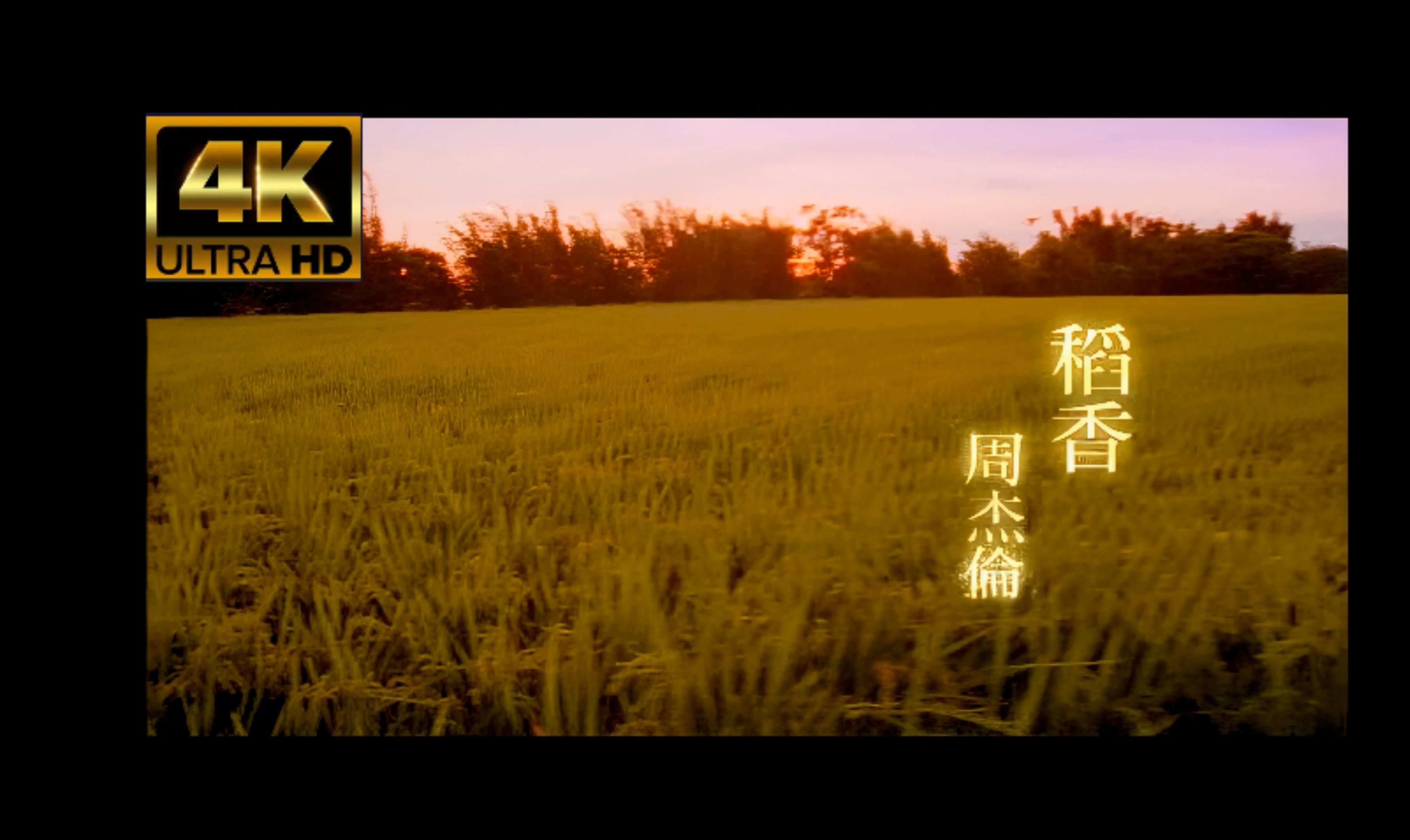 稻香mp3下载_(mp3歌曲免费下载)