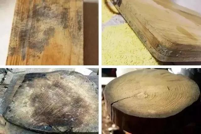 稻草发霉视频大全播放下载_(发霉的稻草晒干还能喂牛吗?)